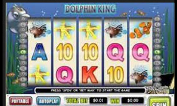 slot machine dolphin king